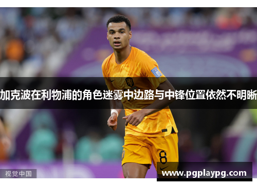 加克波在利物浦的角色迷雾中边路与中锋位置依然不明晰