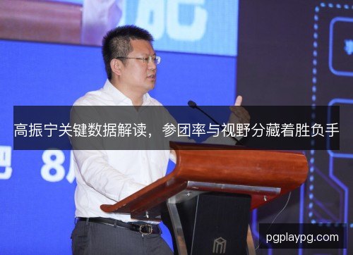 高振宁关键数据解读，参团率与视野分藏着胜负手