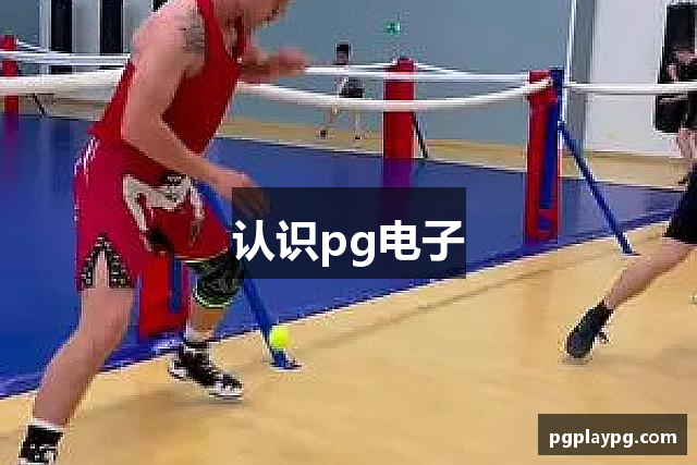 认识pg电子